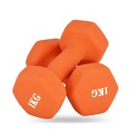 Dumbbell Set Factory - Colorful Aerobic Gym Dumbbell Set