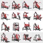 Hip Thrust Machine Manufacturer - Plate Loaded Glute Bridge Machine