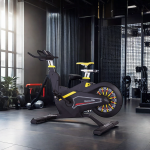 Exercise Bike Manufacturer - Luxury Unisex Magnetic Spin Bike