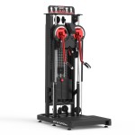 Gym Equipment Manufacturer - Dual Arm Adjustable Strength Machine