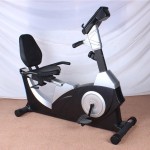 Stationary Bike Factory - Commercial Recumbent Cardio Machine