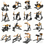 Gym Equipment Factory - Complete Indoor Club Strength Training Machines