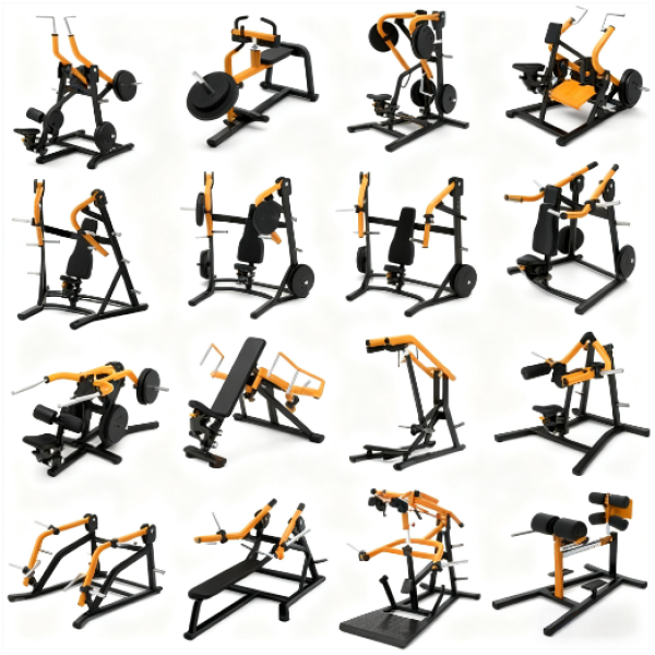 Gym Equipment Factory - Complete Indoor Club Strength Training Machines