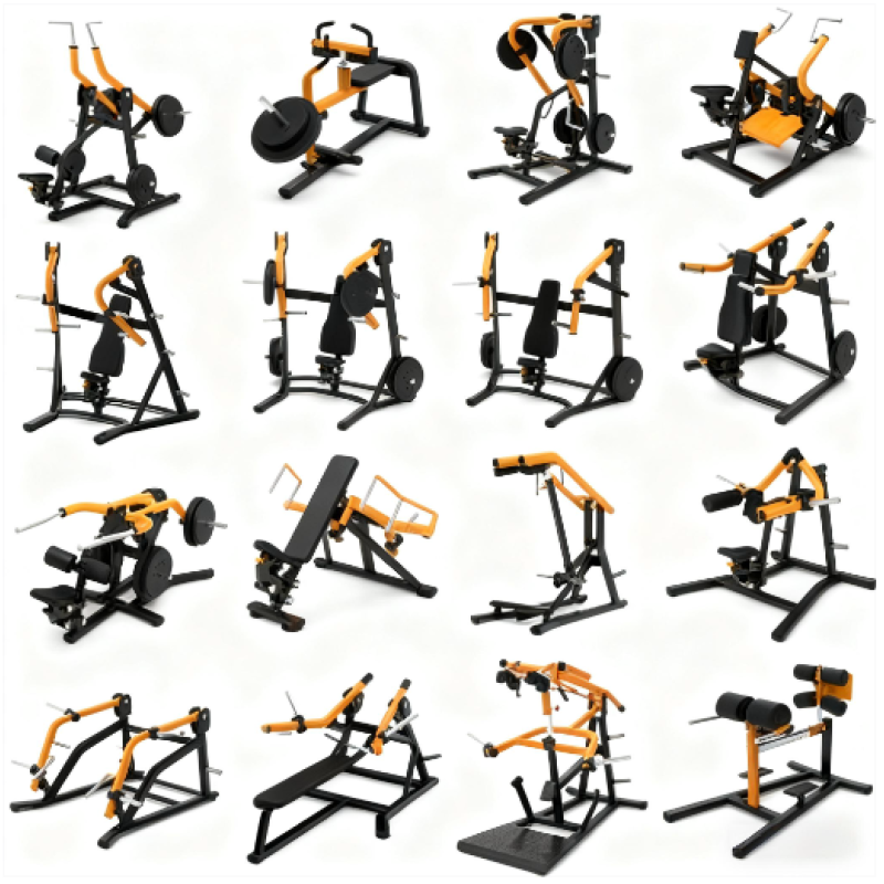 Gym Equipment Factory - Complete Indoor Club Strength Training Machines