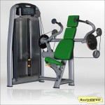 Triceps Machine Manufacturer - Seated Triceps Dip Multi Station