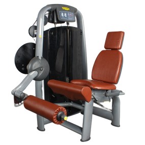 Gym Equipment Manufacturer - Pin Load Selection Leg Extension Machine