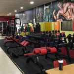 Functional Trainer Factory - Strength Trainer with Weight Bench