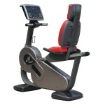 Recumbent Bike Manufacturer - Commercial Seated Magnetic Bike