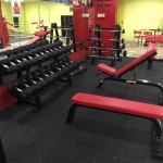 Exercise Bench Supplier - Adjustable Incline Press Weight Bench