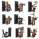 Gym Setup Manufacturer - Professional Heavy Duty Multi-function Machines