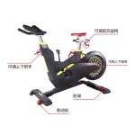 Exercise Bike Manufacturer - Luxury Unisex Magnetic Spin Bike