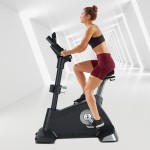 Exercise Bike Manufacturer - Commercial Upright Steel Cycling Bike