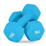 Dumbbell Set Factory - Colorful Aerobic Gym Dumbbell Set