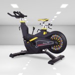 Exercise Bike Manufacturer - Luxury Unisex Magnetic Spin Bike