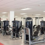 Gym Equipment Manufacturer - Pin Load Selection Leg Extension Machine