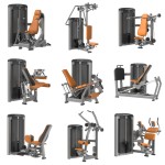 Chest Press Machine Manufacturer - Professional Butterfly Press Machine