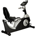 Stationary Bike Factory - Commercial Recumbent Cardio Machine
