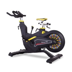 Exercise Bike Manufacturer - Luxury Unisex Magnetic Spin Bike