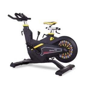 Exercise Bike Manufacturer - Luxury Unisex Magnetic Spin Bike