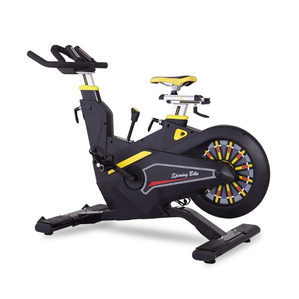 Exercise Bike Manufacturer - Luxury Unisex Magnetic Spin Bike