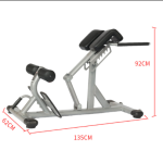 Gym Bench Manufacturer - Multi-functional Steel Roman Chair