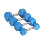 Rubber Dumbbell Manufacturer - Solid Hexagonal 2.5KG Weight