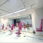 Shoulder Trainer Factory - Steel Hydraulic Resistance