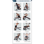 Fitness Equipment Factory - Steel Dumbbell Roman Chair