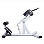 Gym Bench Manufacturer - Multi-functional Steel Roman Chair