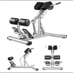 Gym Bench Manufacturer - Multi-functional Steel Roman Chair