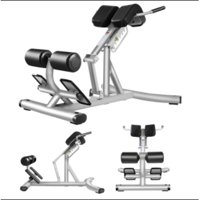 Gym Bench Manufacturer - Multi-functional Steel Roman Chair