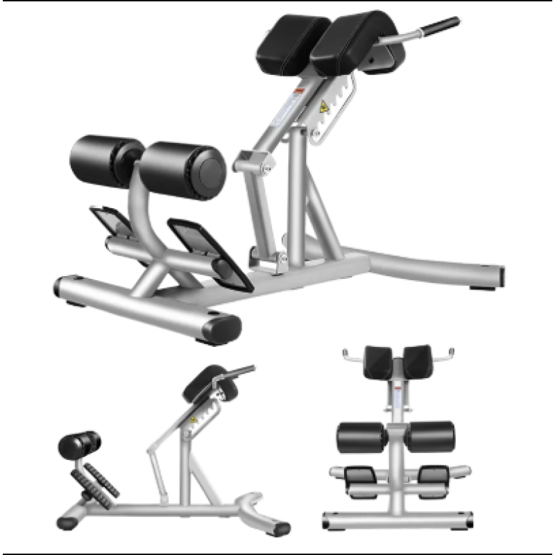 Gym Bench Manufacturer - Multi-functional Steel Roman Chair