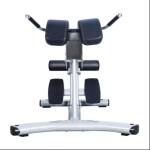 Gym Bench Manufacturer - Multi-functional Steel Roman Chair