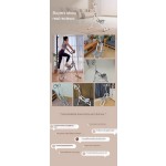 Stair Climber Supplier - Stable Gym Fitness Equipment