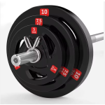 Dumbbell Plate Manufacturer - Full Film Baking Paint