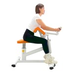 Triceps Equipment Manufacturer - Seated Extension Trainer