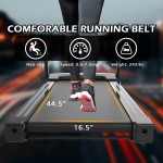 Treadmill Supplier - Silent Powerful Foldable Metal