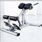 Gym Bench Manufacturer - Multi-functional Steel Roman Chair