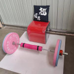 Hip Thrust Bar Supplier - 1.3 Meter 5 Piece Barbell Set