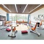 Shoulder Trainer Factory - Steel Hydraulic Resistance