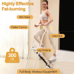 Elliptical Stepper Manufacturer - Mini Home Gym Machine