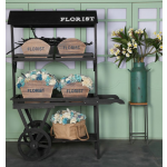 Dessert Cart Supplier - Sweet Lolly Stand Push Display Cart