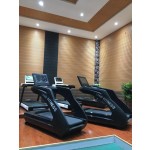 Electric Treadmill Manufacturer - Professional Fitness Running Machine