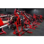 Leg Curl Machine Factory - Pin Loaded Prone Leg Extension Machine