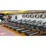 Centrifugal Trainer Factory - Home Gym Flywheel Machine