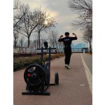 Multi Purpose Bench Supplier - Commercial Strength Gym Equipment