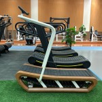 Pilates Equipment Supplier - Beech Ladder Barrel Corrector Machine