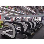 Fitness Equipment Supplier - Factory Direct Electric Bodybuilding Treadmill
