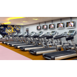 Multi Trainer Supplier - Weight Pile Pull Up Rack