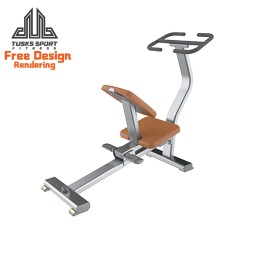 Roman Chair Manufacturer - Commercial Reverse Hyper Extension
